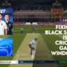 fixing the black screen issue in cricket 19 game on windows 11