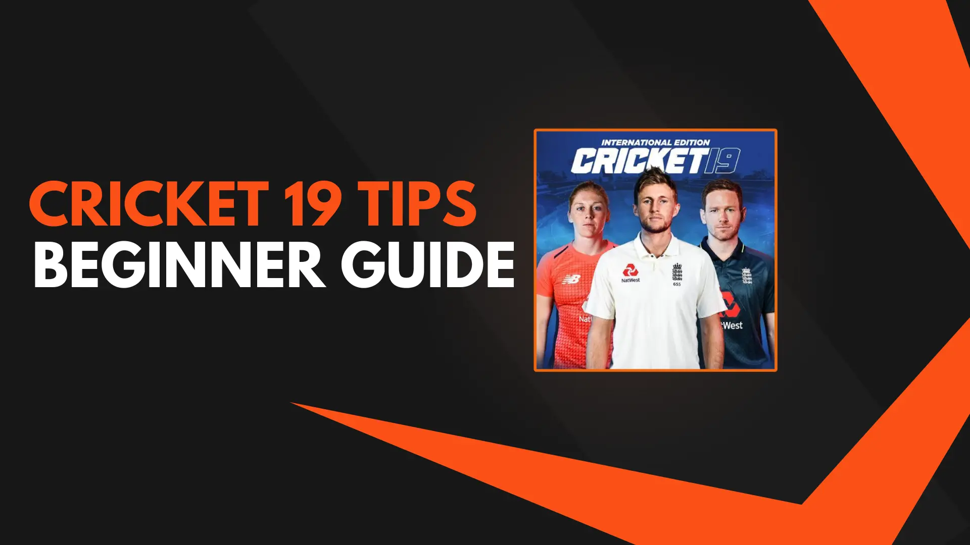 Cricket 19 Tips - Beginner Guide | Games Req